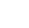 Logo Icon